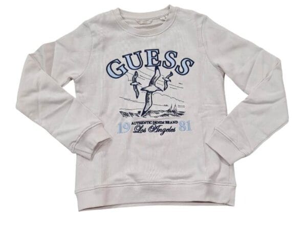 Felpa ragazzo guess